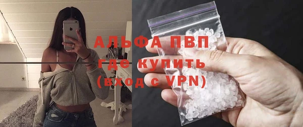 apvp Инта