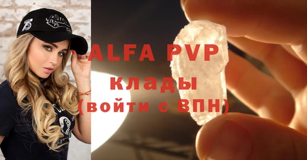 apvp Инсар