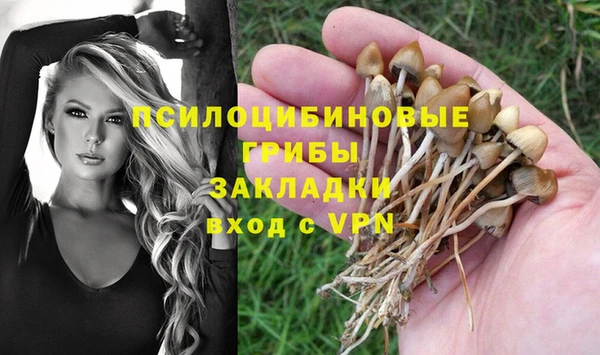apvp Инта