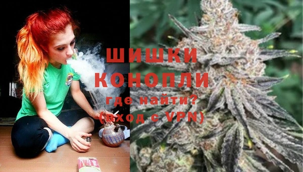 apvp Инсар
