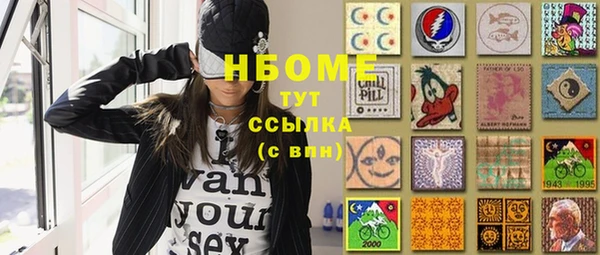 apvp Инта