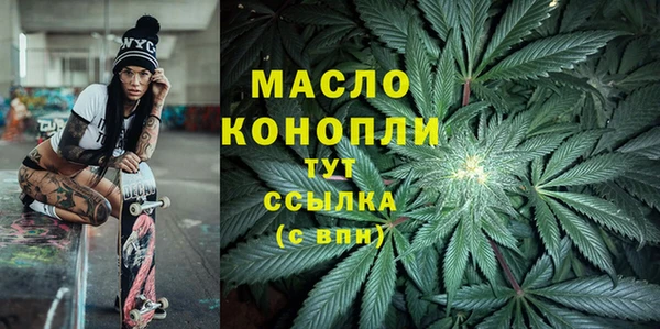 apvp Инсар
