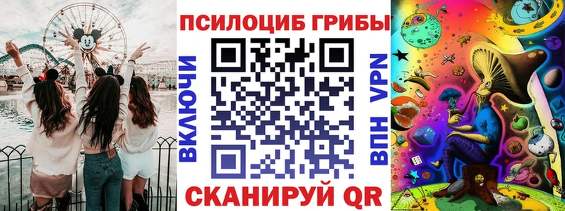 Купить где  Демидов  Галлюциногенные грибы Cubensis 